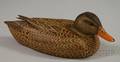 Carved and Painted Mallard Hen Decoy