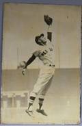 Large Format Photograph of Boston Red Sox Milt Bolling