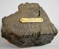 Purported USS Constitution Wood Fragment