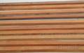 Ten Rectangular Pernambuco Violin Bow Blanks
