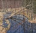 Neil Welliver American 19292005 Sky in Coras Marsh