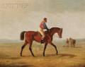 Scott Nicholas Winfield Leighton American 18491898 Horse and Jockey