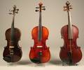 Three German Violins and Seven Bows