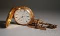 18kt Gold Engraved Hunting Case Hudson Pocket Watch