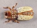 Art Nouveau 14kt Gold Enamel and Diamond Insect Brooch