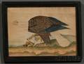 American School 19th Century Bald Eagle on a Mountaintop with a Fish