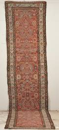 Northwest Persian Runner