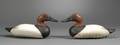 Pair of Canvasback Duck Decoys