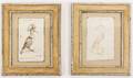 Pair of Naturalist Bird Sketches