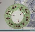 Green spatter vine and berry cup plate