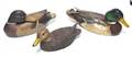 Three American Mallard Duck Decoys