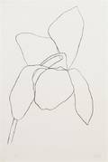 Ellsworth Kelly