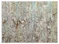 Larry Poons