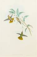 John Gould