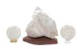 A Collection of Three Quartz Specimens