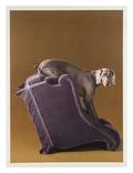 William Wegman