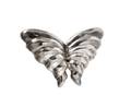 A Sterling Silver Butterfly Brooch Tiffany  Co