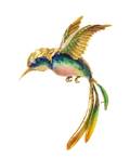 An 18 Karat Yellow Gold Polychrome Enamel and Diamond Hummingbird Brooch