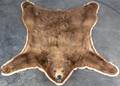A Taxidermy Bear Rug