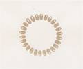 Richard Long