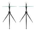A Pair of Ebonized Side Tables