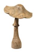 An Assembled Wood Model of a Mushroom