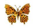 An 18 Karat Yellow Gold and Polychrome Enamel Butterfly Brooch