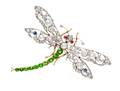 A Platinum Topped Gold Diamond Demantoid Sapphire Ruby and Pearl Dragonfly Brooch Circa 1900