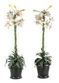 A Pair of Tole Models of Lilies