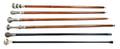 A Group of Six Walking Sticks