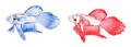 Two Swarovski Models of Fighting Fish
