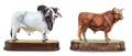 Two Royal Worcester Porcelain Models of Bulls