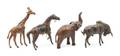 Four LeatherClad Animals