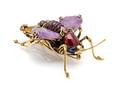 An Iradj Moini Amethyst Tigers Eye Carnelian Sapphire and Multicolor Tourmaline Cricket Brooch