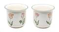 A Pair of Porcelain Tulip Pots