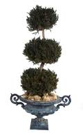 A Black Painted Cast Metal Jardiniere