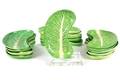 A Set of Fifteen Dodie Thayer Lettuce Ware Salad Plates