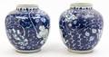 A Pair of Blue and White Porcelain Jars