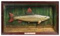 An English Polychrome Fish Trophy