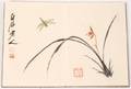 Qi Baishi Watercolor Picture Book Marked