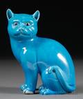 Turquoise Cat