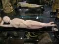 Ivory Carving