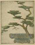 Bertha Evelyn Clausen Jaques American 18631941 Japanese Pine
