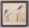American watercolor portrait of a horse