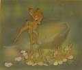 Lot of Two Walt Disney Production Animation Celluloids from Bambi