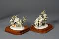 Pair of Royal Worcester Porcelain Dorothy Doughty Botanical Models