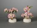 Pair of Royal Worcester Porcelain Dorothy Doughty Models of Apple Blossoms and Bees