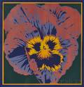 American School 20th Century Pansy