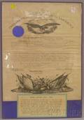 Two Framed and Mounted Civil War Service Related Certificates and a Commission