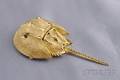 18kt Gold Horseshoe Crab Brooch